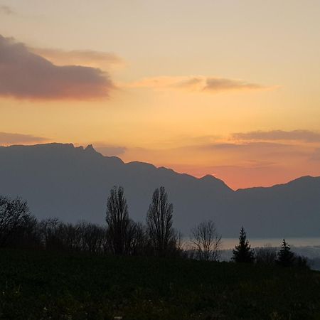 Appartement Independant Dans Maison Au Calme Pugny-Chatenod Kültér fotó